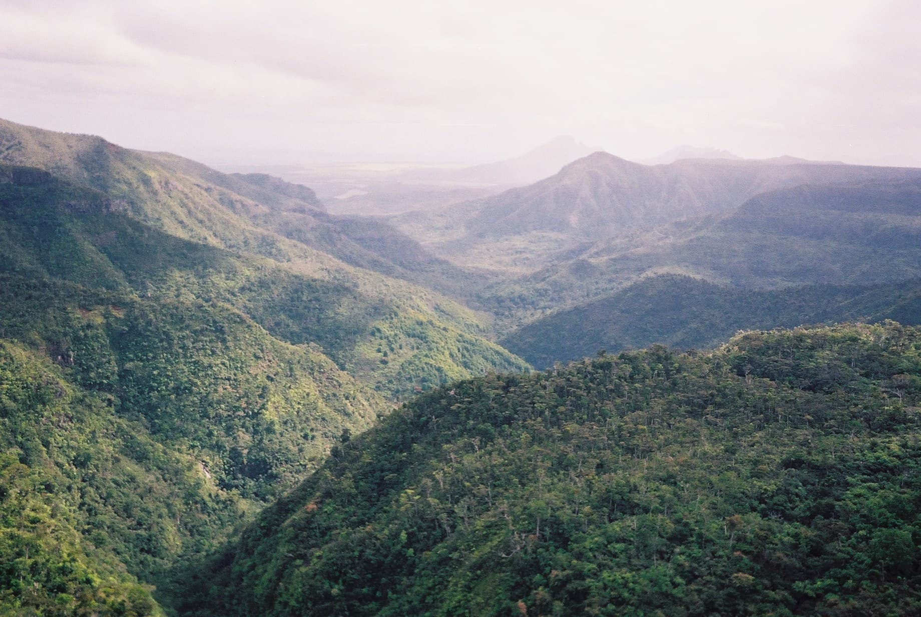 Black River Gorges