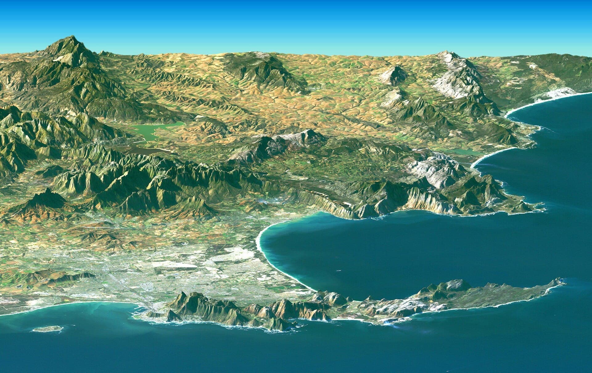 Cape Peninsula Full-Day Tour