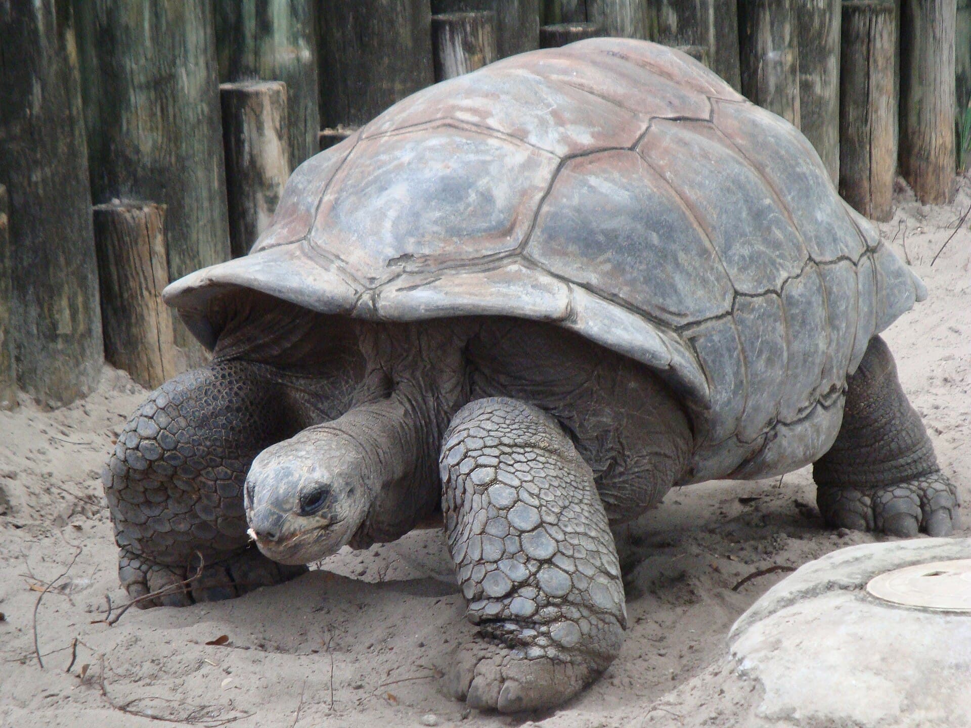 Casela Nature Parks