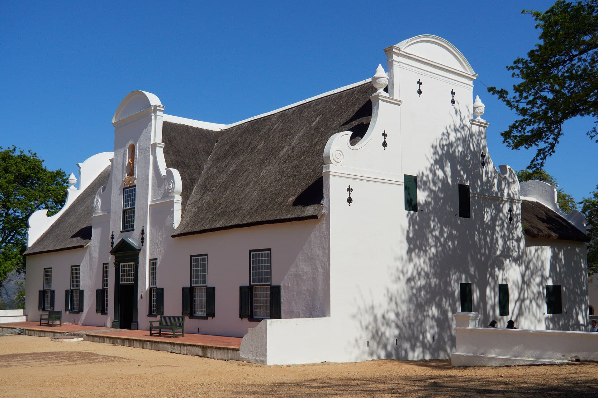 Constantia Wine Tour