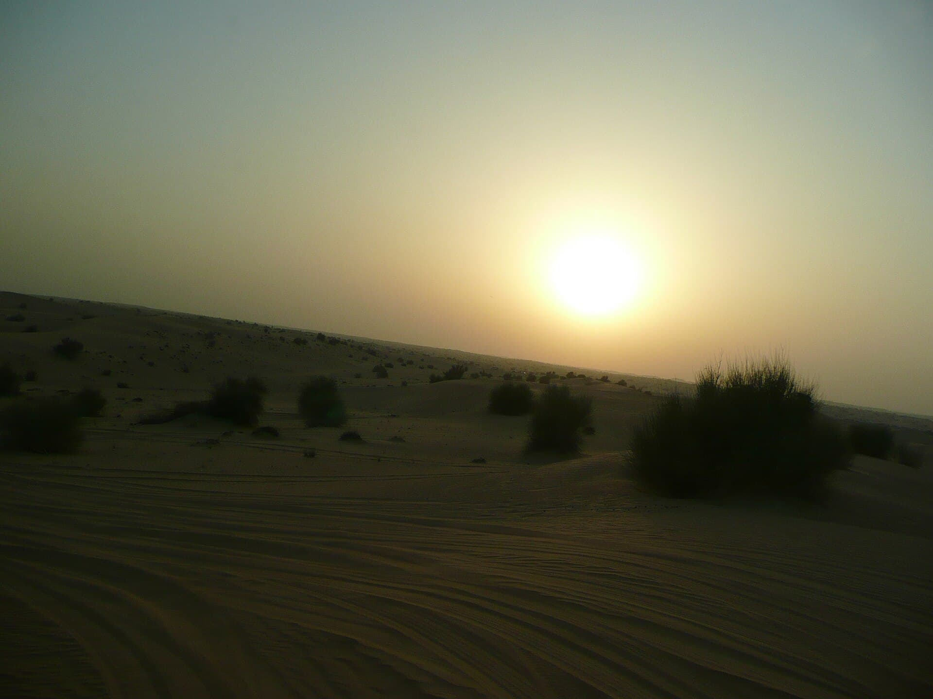 Evening Desert Safari