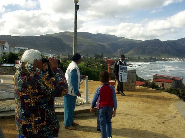 Whale Watching