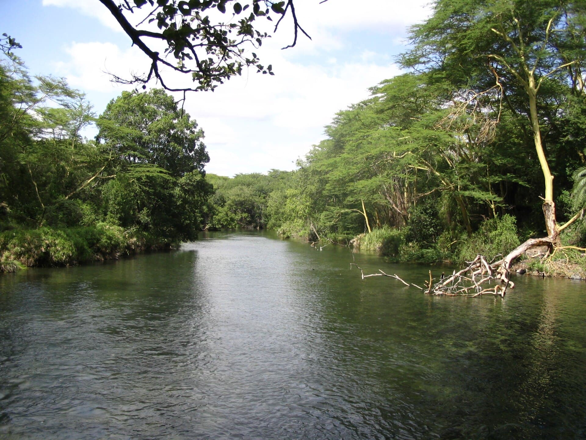 Tsavo West