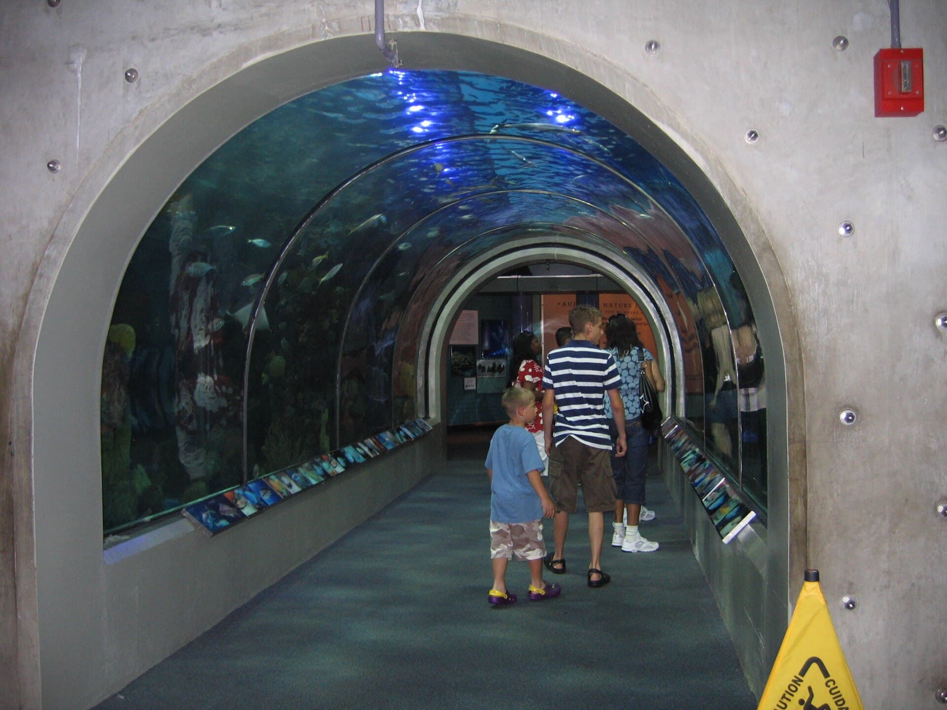 Dubai Aquarium