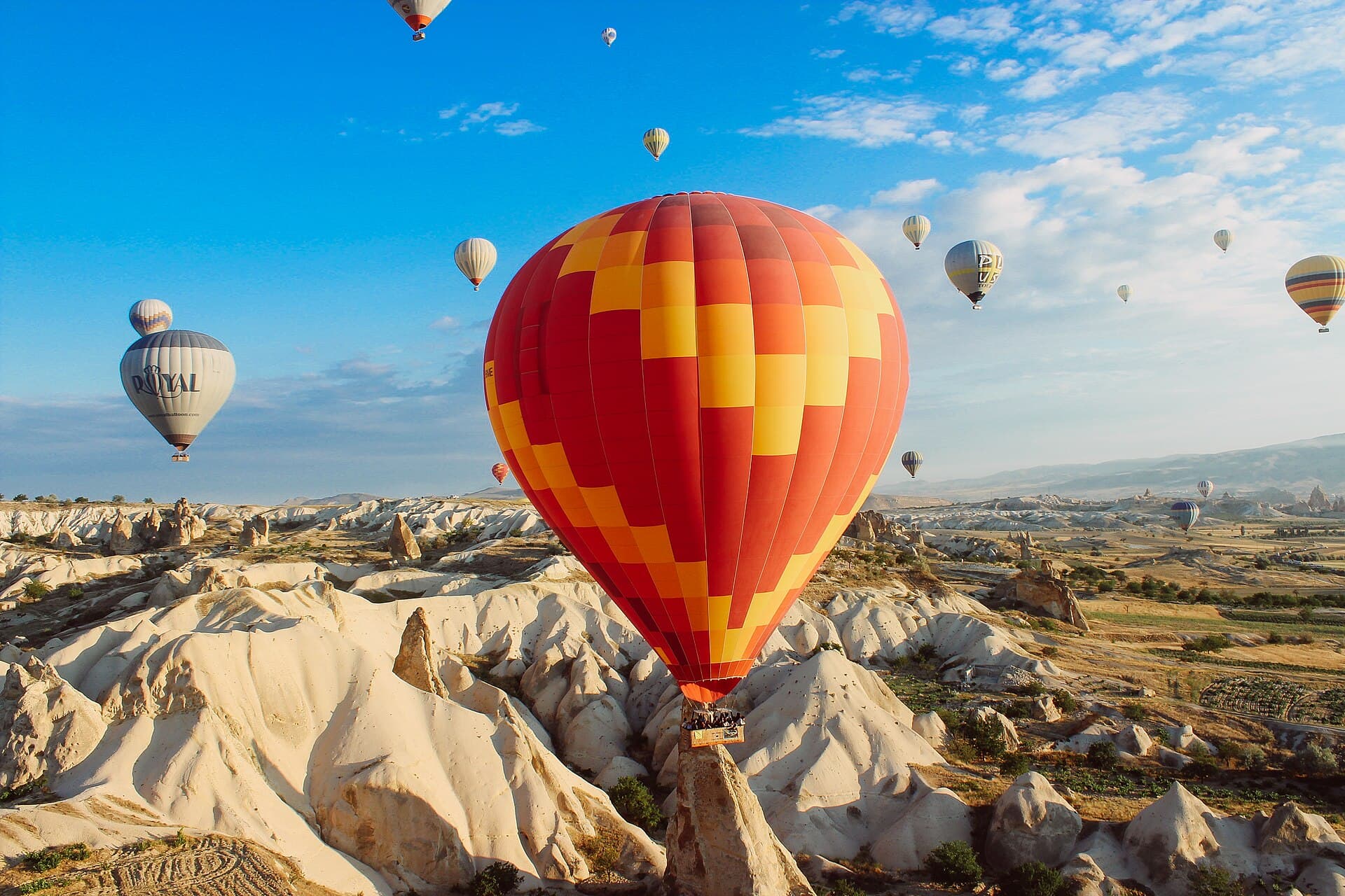 Hot Air Balloon Safari