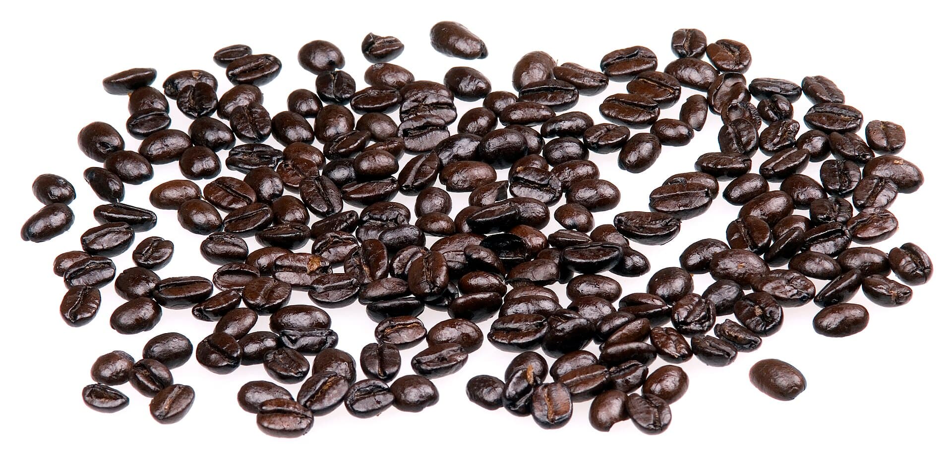 Coffee Experience