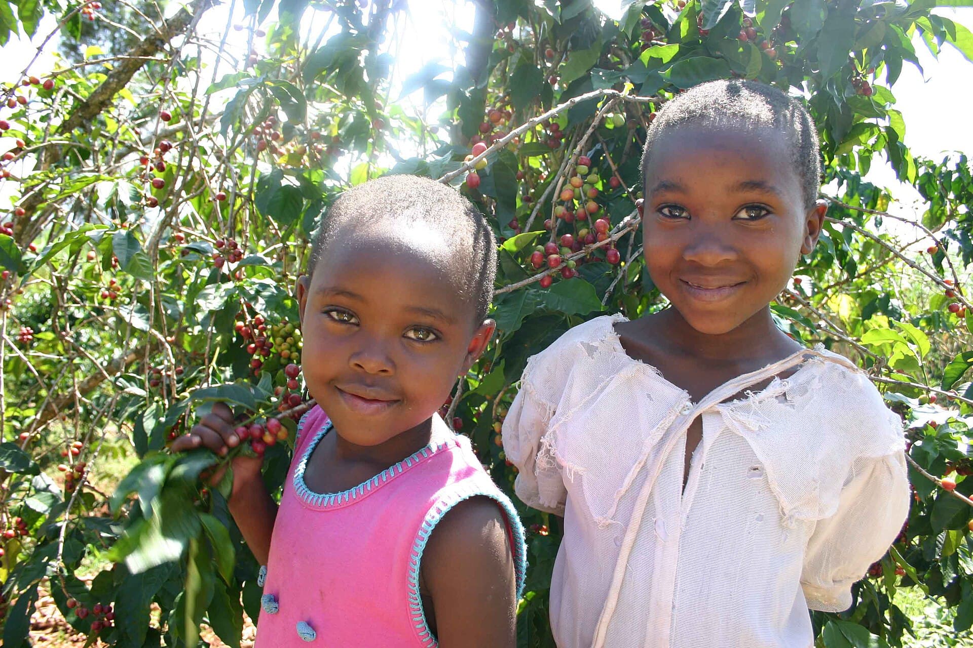 Local Coffee Farm Tour