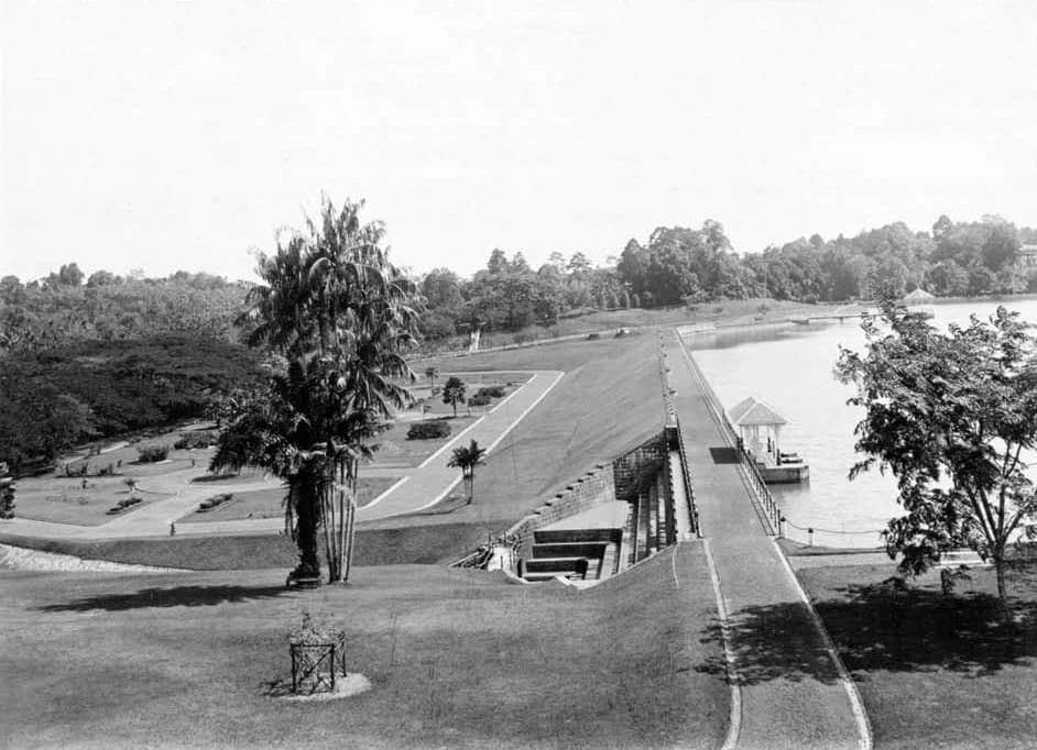MacRitchie Nature Trail