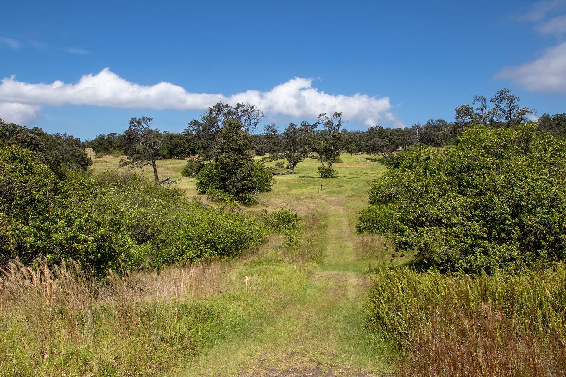 Volcano Hiking